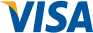 Visa Card Logo